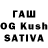 Галлюциногенные грибы GOLDEN TEACHER Agafon Kliuchnikov